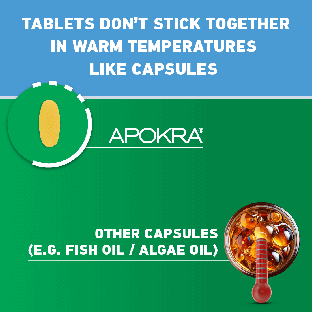 Vegan Omega 3 Tablets with 5x Absorption – 30 Tablets | APOKRA